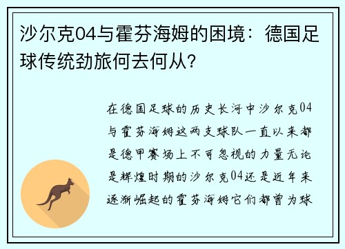 沙尔克04与霍芬海姆的困境：德国足球传统劲旅何去何从？