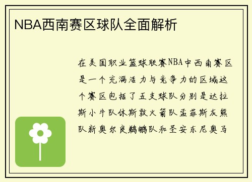 NBA西南赛区球队全面解析