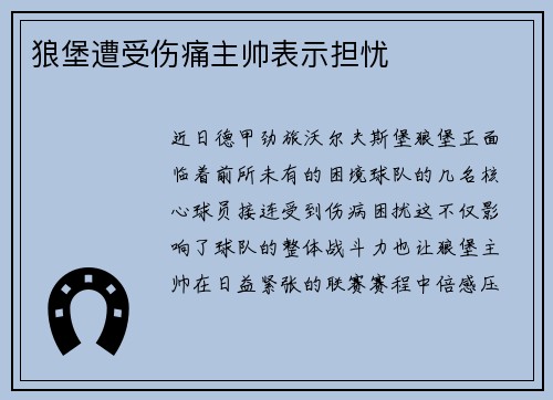 狼堡遭受伤痛主帅表示担忧